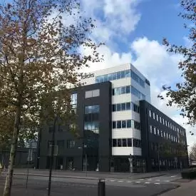 Een dag in het leven van een Content Specialist bij iClicks